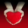 roni2727