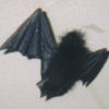 Halloween 2005