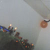 Halloween 2005