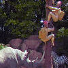 Disneyland