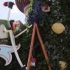Disneyland