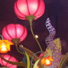 Disneyland
