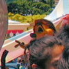 Disneyland