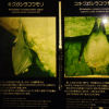 Ryusendo Caves