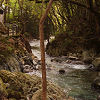 Nature Trail at Ryusendo Caves