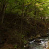 Nature Trail at Ryusendo Caves