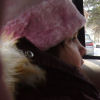 My Trip to Wausau