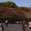Ueno District, Zoo and Park