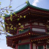 Ueno District, Zoo and Park
