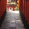 Ueno District, Zoo and Park