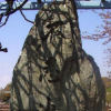 Ueno District, Zoo and Park