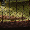Ueno District, Zoo and Park