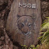 Ueno District, Zoo and Park
