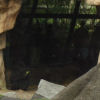 Ueno District, Zoo and Park