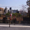 Ueno District, Zoo and Park