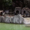 Ueno District, Zoo and Park