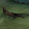 Ueno District, Zoo and Park