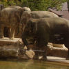 Ueno District, Zoo and Park