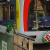 Ueno District, Zoo and Park