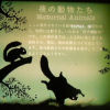 Ueno District, Zoo and Park